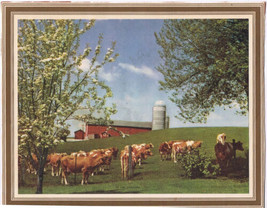 Advertising Picture From Calendar Cows Barn General Steel Wares GSW 8 x 10 - $5.07