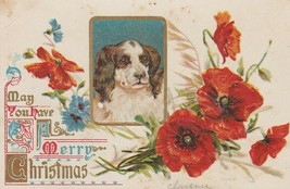 Vintage Postcard Christmas English Springer Spaniel Dog Poppies Early 1900&#39;s - £7.88 GBP