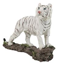 Apex Jungle Predator Prowling Fierce Siberian White Bengal Tiger Figurine - $26.99