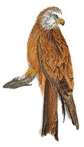 Nature Weaved in Threads, Amazing Birds Kingdom [Red Kite Perching [Cust... - $21.87