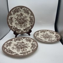 Royal Stafford Asiatic Pheasant Dinner Plates Set of 3 Brown White 11” - $39.11