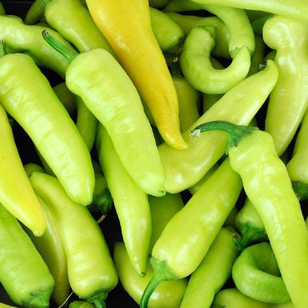 Yellow Hot Wax Pepper Seeds Fresh Garden Seeds Fresh Seeds - $3.00