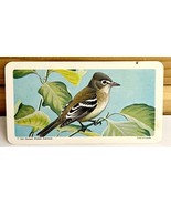 Vintage Songbird Trading Card Least Flycatcher 1963 S9N11 Brooke Bond Te... - $19.99