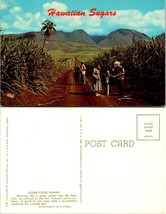 Hawaii Sugar Fields View of the Mountains Vintage Postcard - £7.34 GBP