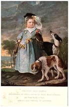 Girl With Dogs and Falcon Famous Painting Reproduction Royal Museum Postcard - £19.11 GBP