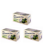 3 BOXES CARICA GUYABANO TEA Graviola SOURSOP - 3 Boxes 90 Tea bags in ALL - $1,090.65 MXN