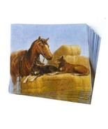 Working Partners Horse Dogs Hay Bales Farm Ranch Paper Napkins Ashdene A... - £13.19 GBP