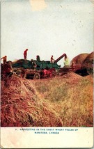 Vtg Carte Postale 1911 Récolte En The Great Blé Fields De Manitoba Canada - £6.14 GBP