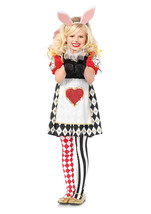 Leg Avenue Children s Wonderl and Rabbit Costume Small - $70.49