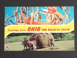 Ohio Corn OH Letter Greetings Buckeye State Dexter Press c1960s Vtg Postcard  - £3.98 GBP