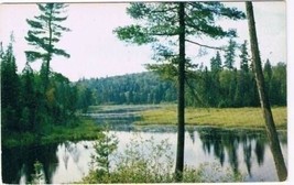 Perrault Falls Ontario Postcard Summer Lake - £2.21 GBP