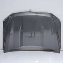 2021-2023 Ford F-150 Gray Front Hood Bonnet Shell Cover Panel ML3Z16612D... - $277.20