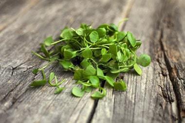 Organic Greek cardamon,crescione cress 100 seeds, code 141 Item image 2