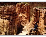 Trio in Pike Petrified Forest National Monument Arizona UNP Chrome Postc... - £2.33 GBP