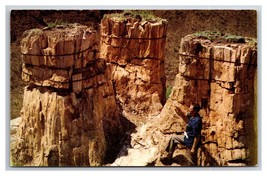 Trio in Pike Petrified Forest National Monument Arizona UNP Chrome Postcard Y13 - £2.33 GBP