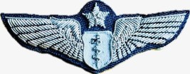 NEW USA AIR FORCE FLIGHT SURGEON SILVER BULLION CHEST WING WITH PINS. CP... - $18.50