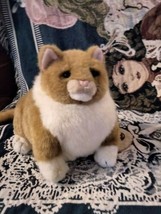 Dakin  Pampered Pets  Applause Plush Stuffed Animal  Peewee Fat Cat Vintage  - £31.15 GBP