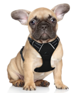 Barkbay No Pull Pet Dog Heavy Duty Harness Reflective Easy Control-Small... - £14.85 GBP
