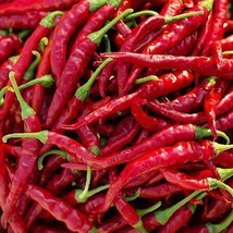 BRN Cayenne Long Thin Pepper Seeds Heirloom Non-Gmo Fresh Garden - $8.97