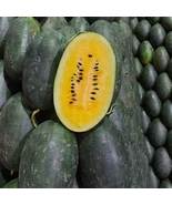 1 Bag of &#39;Yuanxing 25&#39; Series Black Skin Yellow Flesh Watermelon, 200 Se... - £68.04 GBP