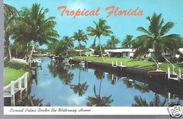 Coconut Palms Border the Waterway Homes in Tropical FL Postcard - £1.95 GBP