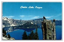 Clark&#39;s Nutcracker Crater Lake National Park Oregon OR UNP Chrome Postcard Y11 - £2.30 GBP