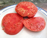 120 Seeds German Johnson Tomato Seeds Non Gmo Heirloom Organic Large Fas... - $8.99
