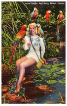 Parrot Jungle Red Road Miami Florida Postcard - £6.95 GBP