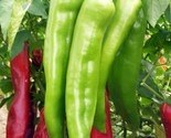 New Mexico Big Jim Chili Pepper Seeds NuMex Hatch Ristra  - £2.40 GBP