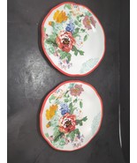 Pioneer Woman Country Garden Salad Plates, 8.5 Inch, Set Of 2 Luncheon, ... - $301.06 MXN