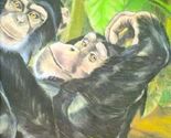 Tano &amp; Binti: Two Chimpanzees Return to the Wild - €3,28 EUR