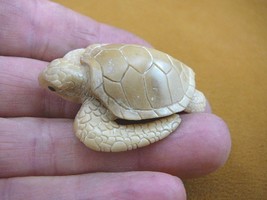 (tb-turt-56) Sea Turtle TAGUA NUT palm figurine Bali carving coral reef turtles - £30.82 GBP