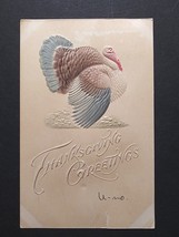 Thanksgiving Greetings Embossed Airbrushed Turkey Illustrated 1906 Postcard - £6.37 GBP