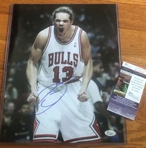 JOAKIM NOAH  SIGNED AUTO 11x14  PHOTO CHICAGO BULLS  Picture COA JSA - £46.96 GBP