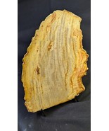 Petrified Wood Large Decorative Crystal Slices ≥8.0&quot; &amp; over 27 oz each (... - $76.56 CAD