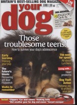 YOUR DOG MAGAZINE - November 2010 - $1.73