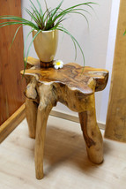 Side Table Wood Root Wood Teakwood Root Table Plant Stand Solid Natural - $186.09