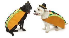 Spicy Tasty Taco and Sombrero Costume for Dogs Food Themed Cute Hallowee... - $31.57+