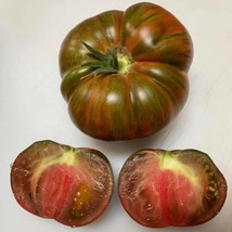 Chocolate Stripes Tomato Seeds Organic Fast Shipping - $7.48