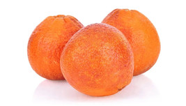 5 Moro Blood Orange Seeds Fresh Seeds USA - £5.49 GBP