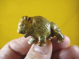 (Y-BUF-551) little tan brown BUFFALO bison gemstone carving gem figurine... - £11.01 GBP