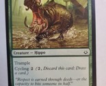MTG Magic The Gathering Card Rampaging Hippo Creature Hippo Green Hour O... - $7.68
