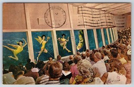 Postcard Weeki Wachee Mermaid Girls 1950s Bathing Beauty Underwater Theatre - £7.77 GBP