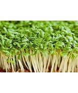 Cress Seed, Microgreen, Sprouting, 3 OZ, Seeds, Non GMO - Country Creek ... - $6.49