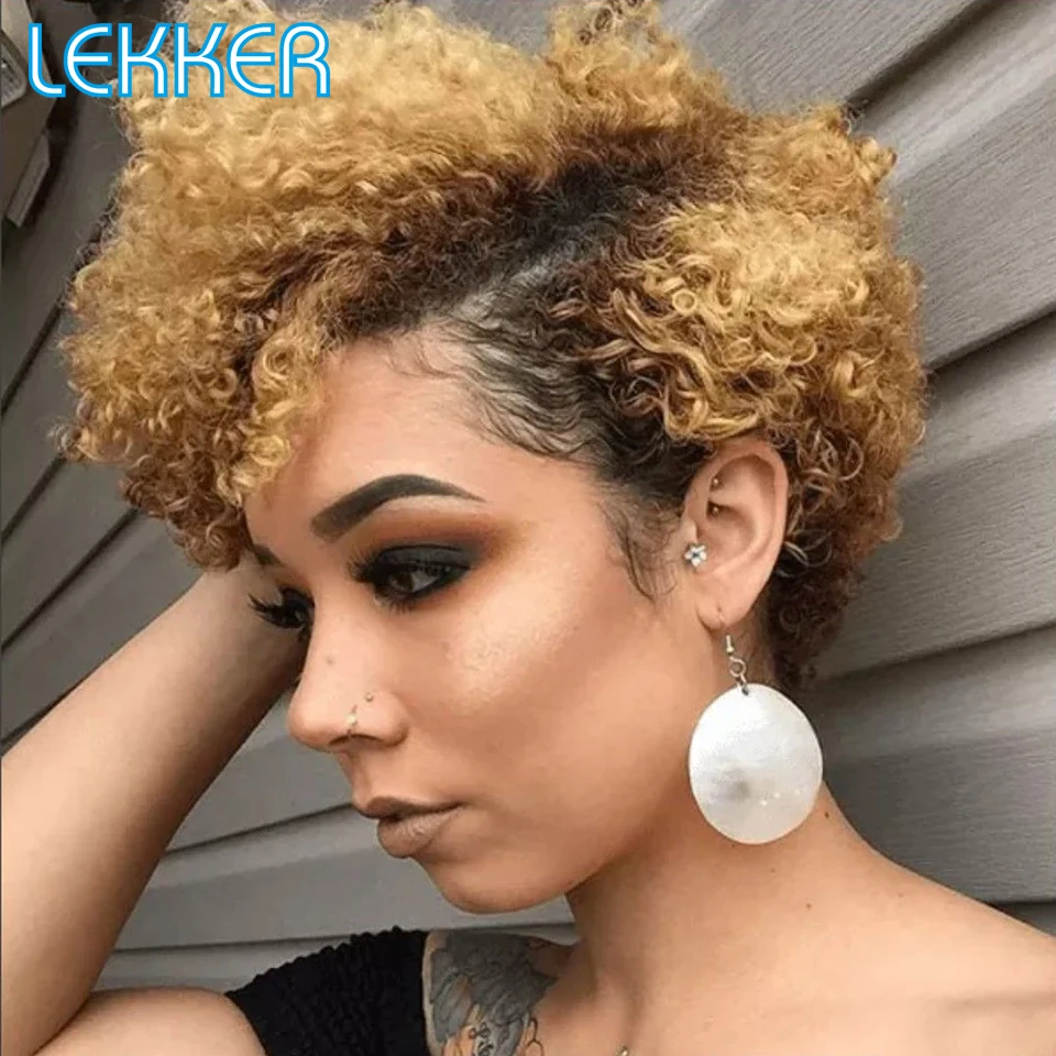 Lekker Colored Pixie Afro Kinky Curly Bob T Part Lace Front Human Hair Wig F - £47.83 GBP
