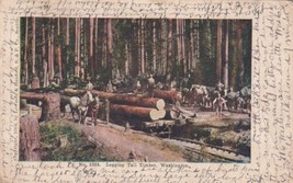 1906 Logging Tall Timber Washington WA Seattle to Sheldon MO UDB Postcard D29 - £2.35 GBP