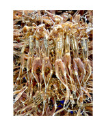 Dried frogs, Size medium frogs, Vietnamese specialties 200/1000g - $746.02 MXN+