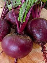 Beets,Ruby Queen, Heirloom, Non GMO, 200 Seeds, Tender and Sweet, DEEP RED - £7.18 GBP