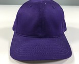 Vintage Viola Snapback Cappello Bambini Taglia Kudzu Youngan Ragazzi - £9.00 GBP