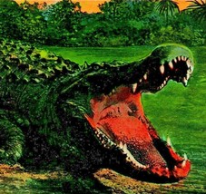 Large Alligator Open Mouth Rio Bayano River Panama UNP 1920s Postcard Unused - £11.10 GBP
